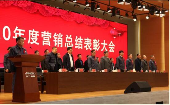 揚力集團2020年度營銷總結(jié)表彰大會圓滿召開！